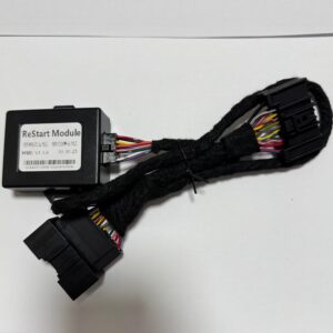 Ford Original Key Remote Start Module